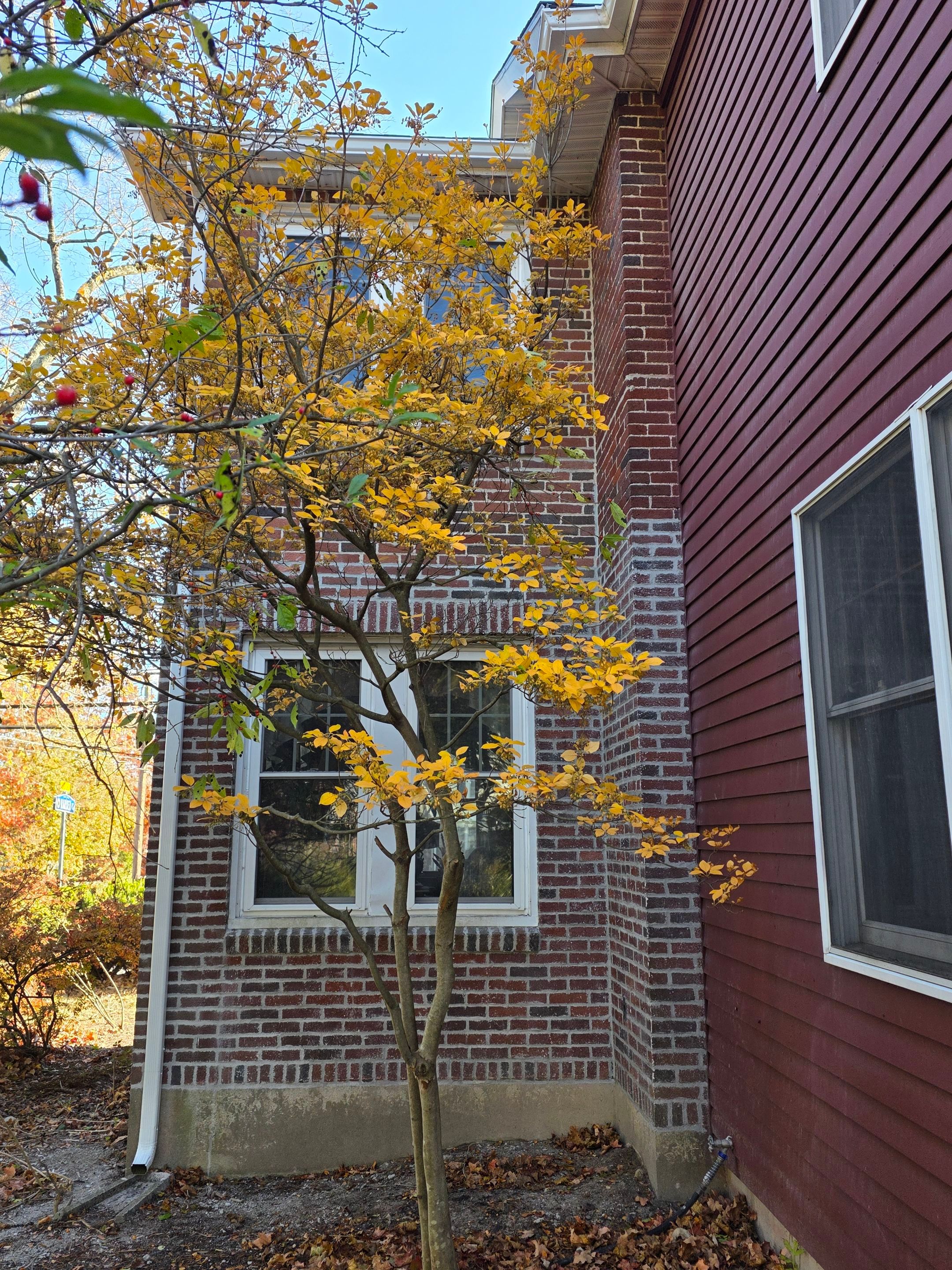 Completed work - Brick Repointing